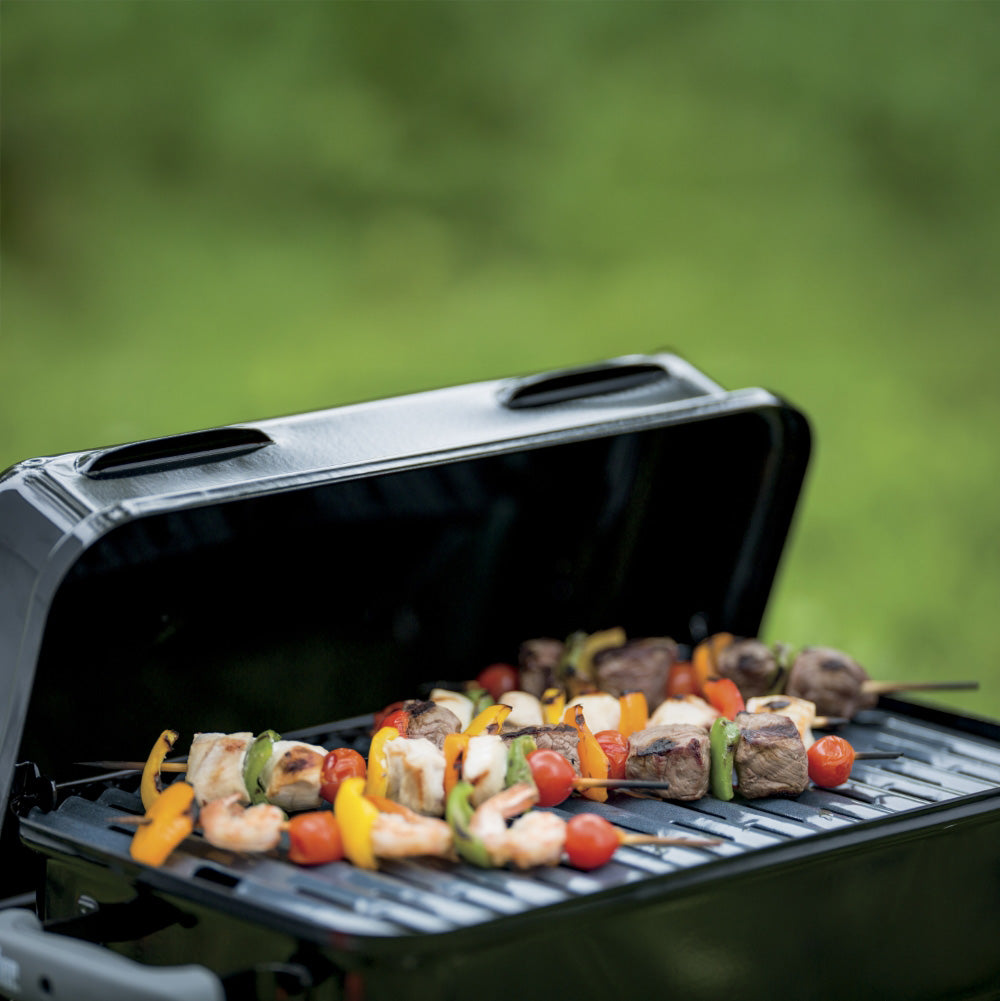 Weber Go-Anywhere Portable Gas Grill