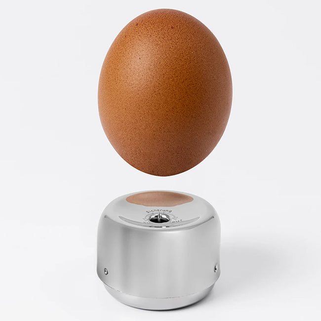 Küchenprofi Egg Pricker
