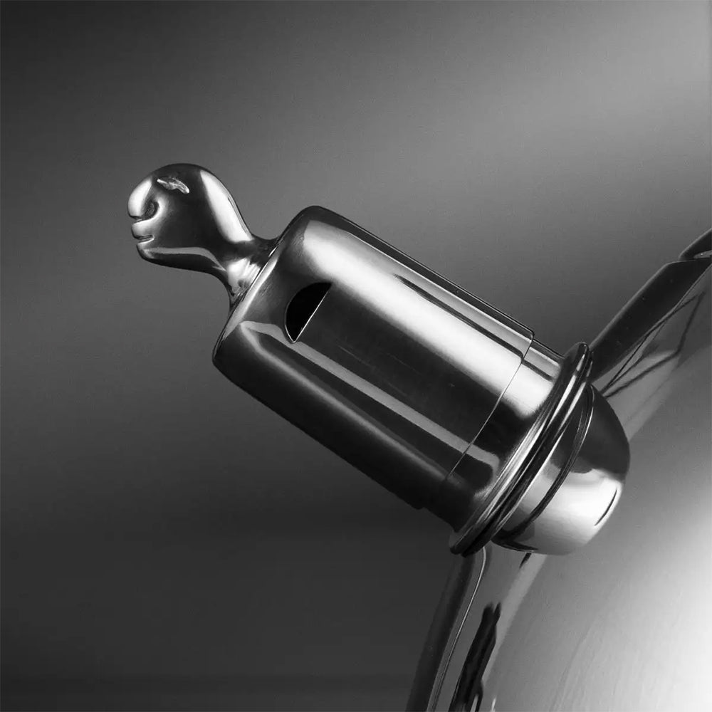 Carrol Boyes Stovetop Kettle, Diver