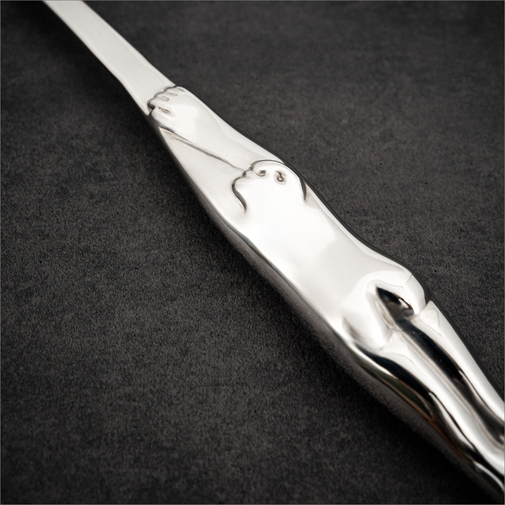 Carrol Boyes Slotted Spoon, Diver
