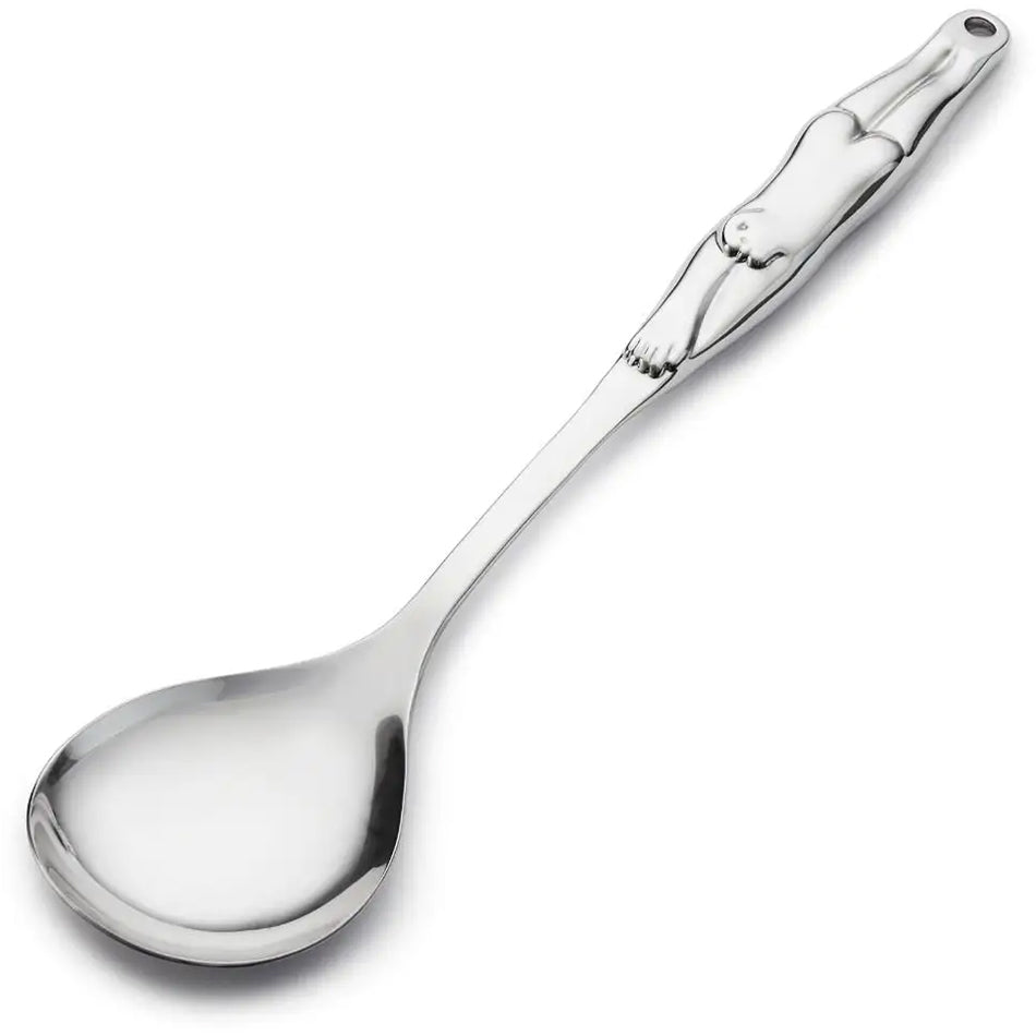 Carrol Boyes Serving Spoon, Diver