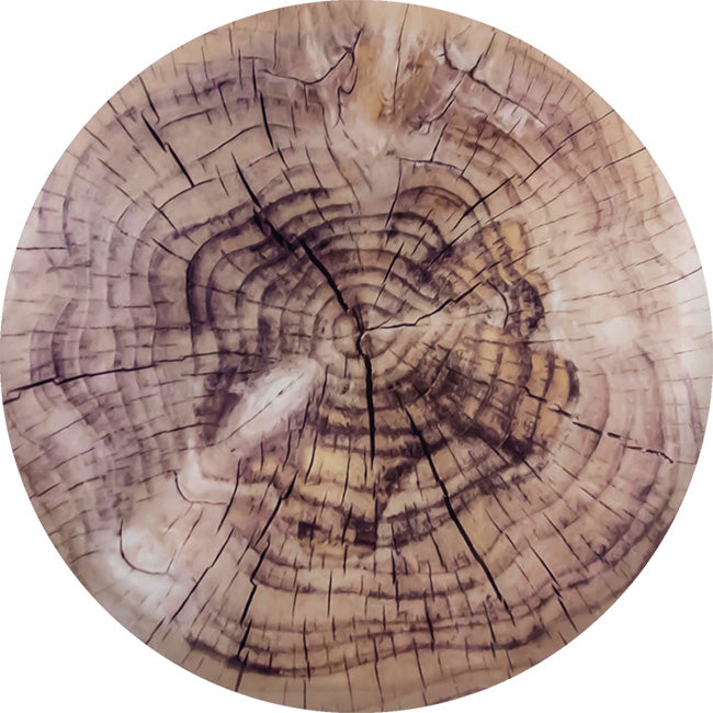 Home Classix Enchanted Woods Round Glass Cutting Board, 25cm