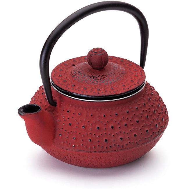 Ibili Oriental Cast Iron Tetsubin Teapot With Infuser, Hanoi, 300ml