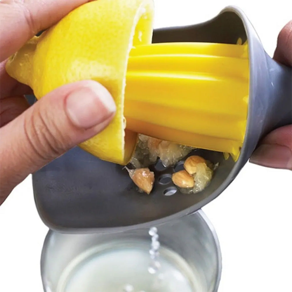 Creative Cooking Lemon Squeezer & Reamer