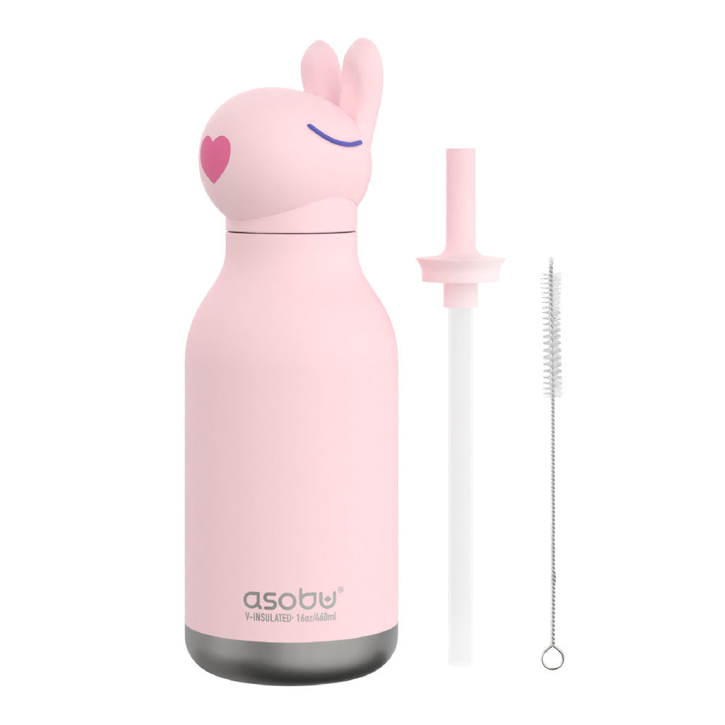 Asobu Vacuum Insulated Bestie Bottle, 460ml