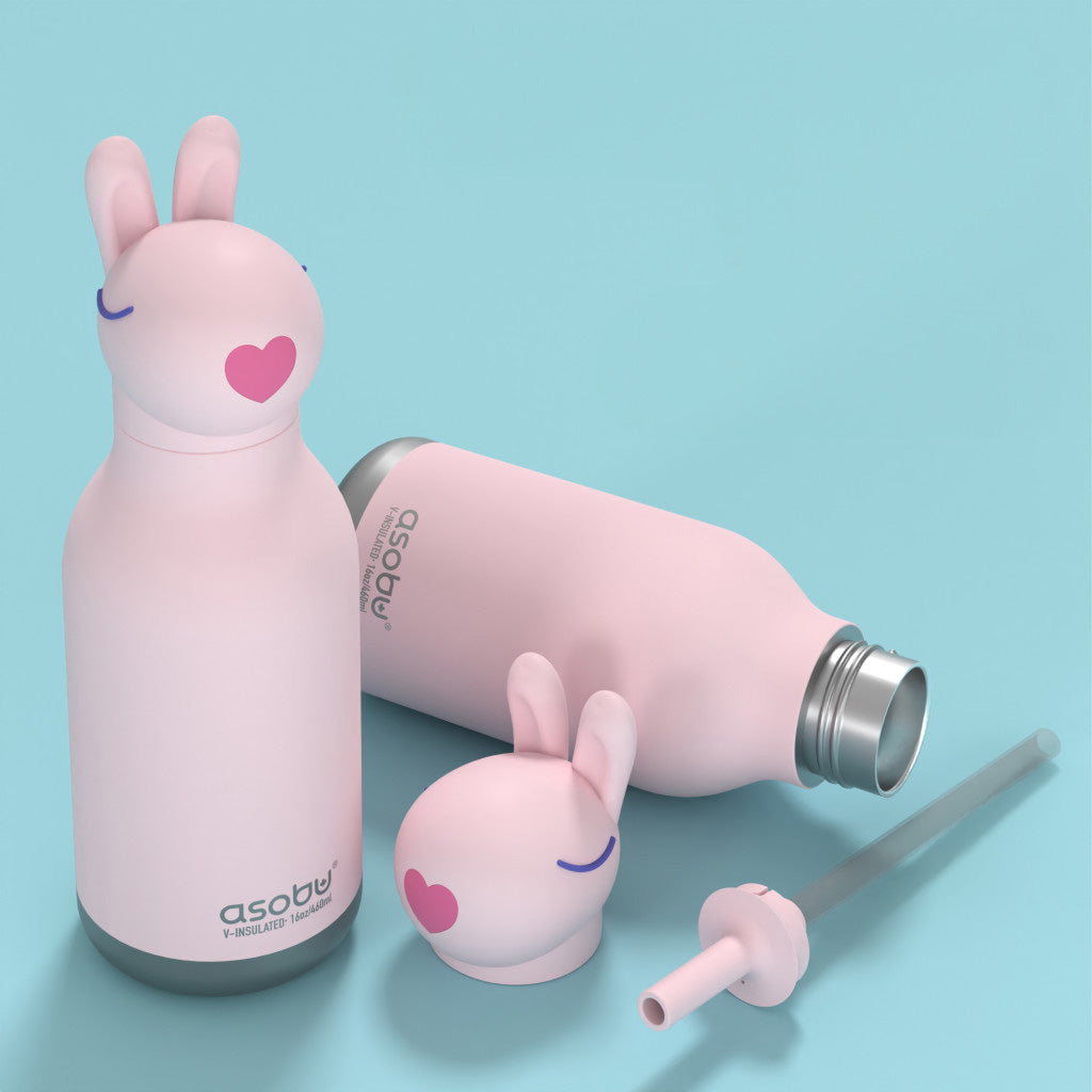 Asobu Vacuum Insulated Bestie Bottle, 460ml