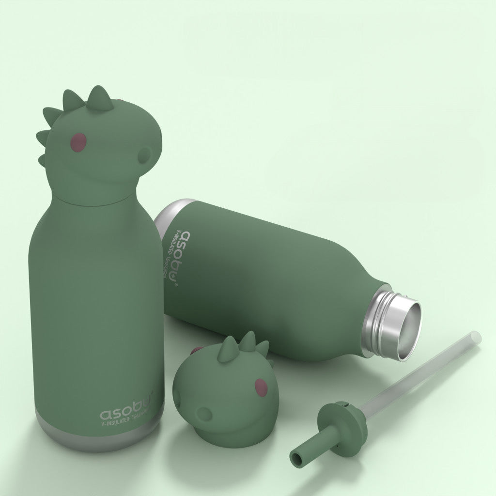 Asobu Vacuum Insulated Bestie Bottle, 460ml