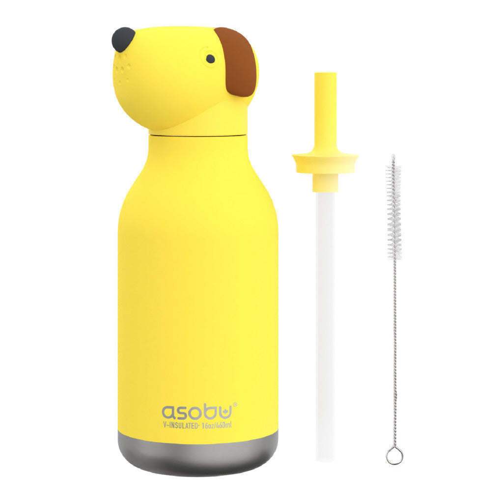 Asobu Vacuum Insulated Bestie Bottle, 460ml