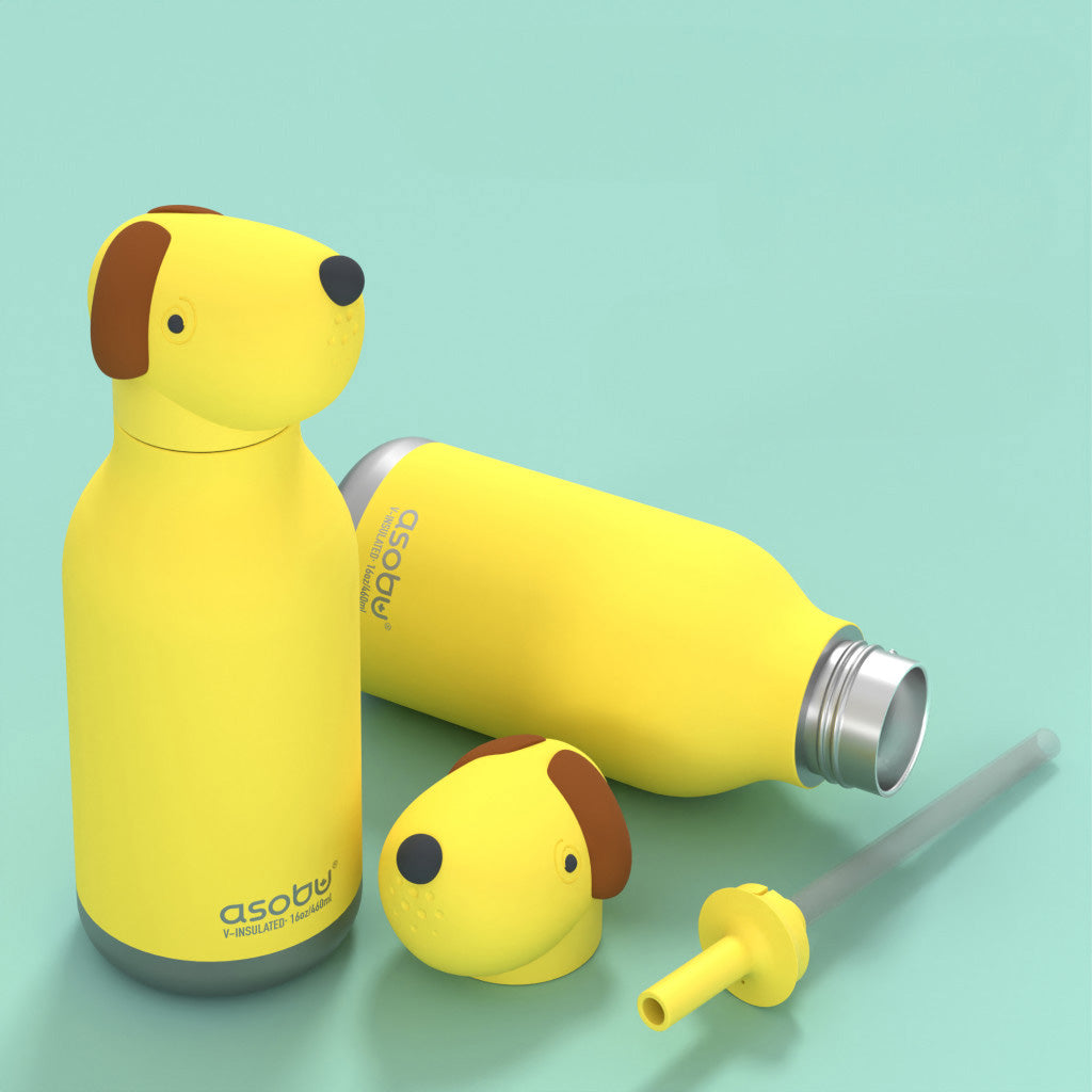 Asobu Vacuum Insulated Bestie Bottle, 460ml