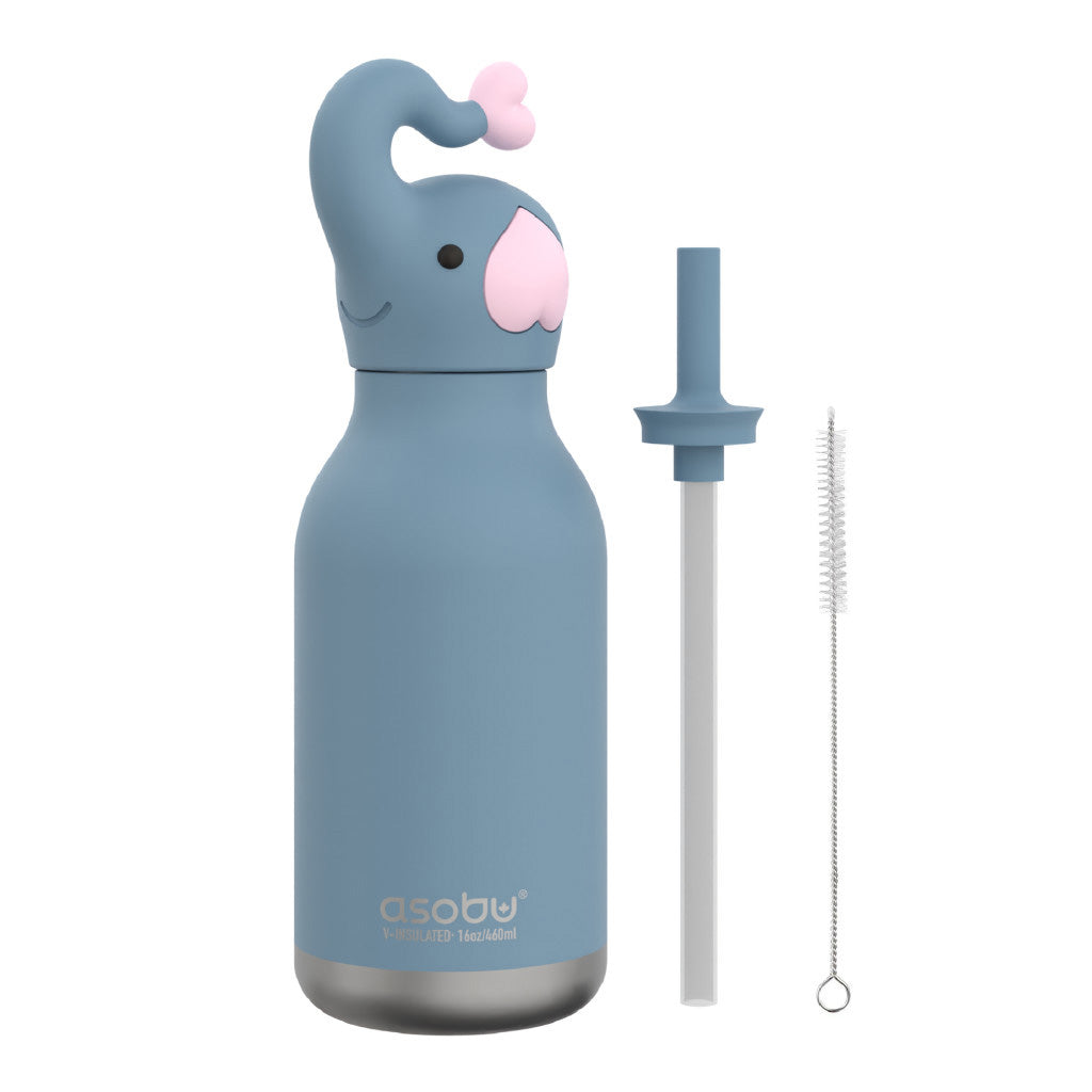 Asobu Vacuum Insulated Bestie Bottle, 460ml