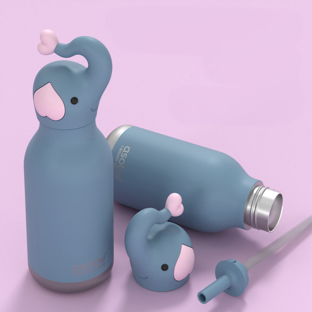 Asobu Vacuum Insulated Bestie Bottle, 460ml