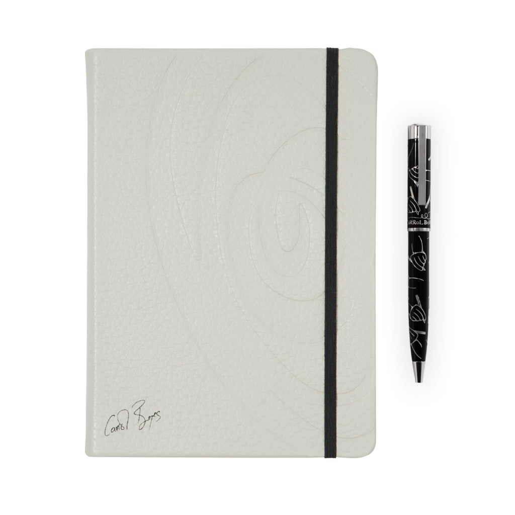 Carrol Boyes Revolution Notebook Set