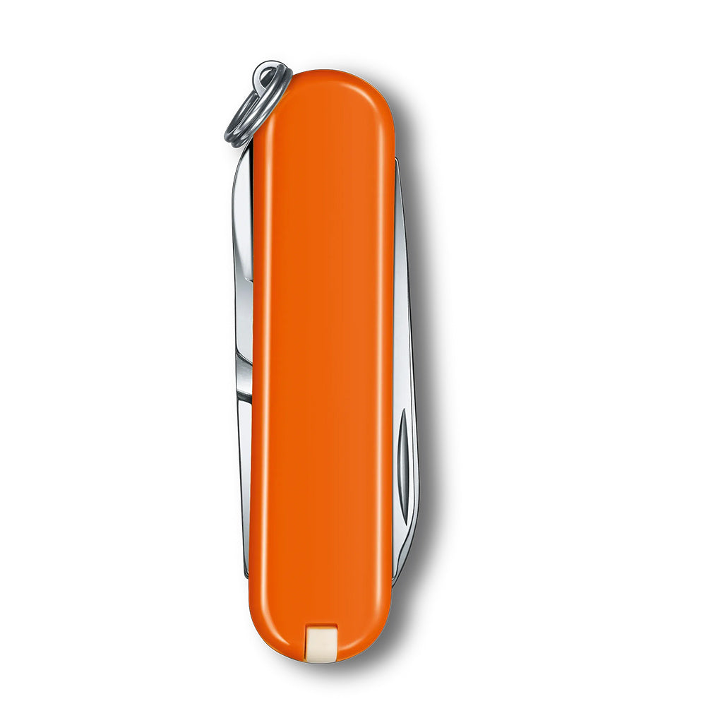 Victorinox Classic Colours SD Classic Pocket Knife