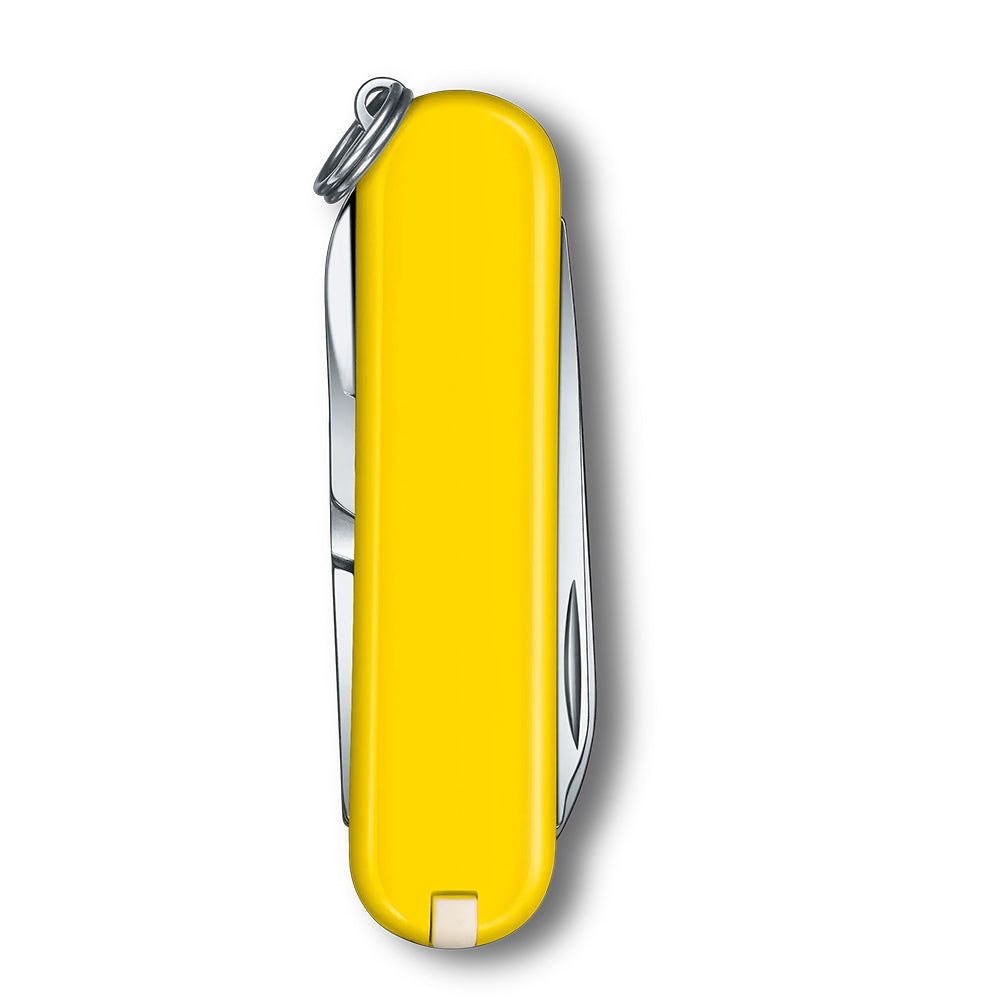 Victorinox Classic Colours SD Classic Pocket Knife