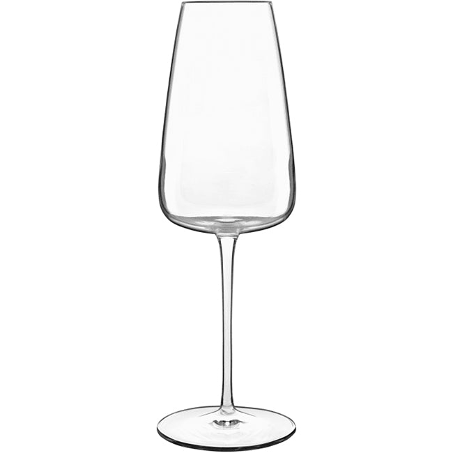Luigi Bormioli Talismano 400ml Champagne Glasses, Set of 4