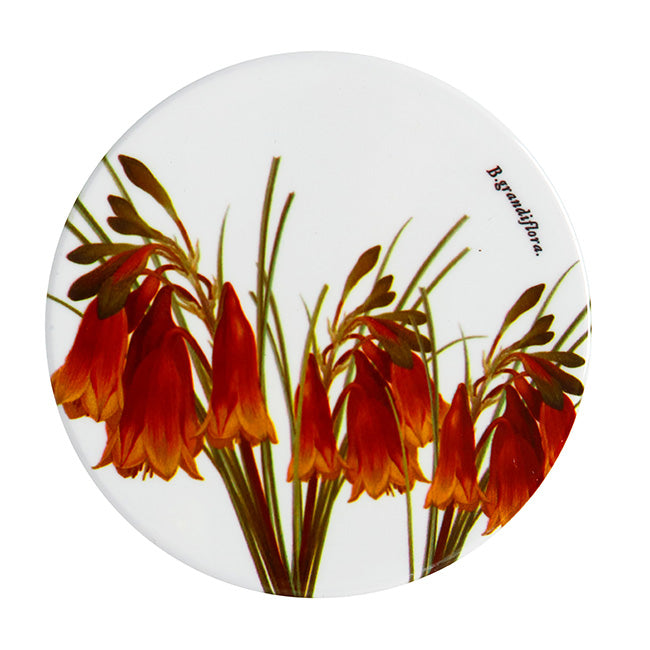 Maxwell & Williams Royal Botanic Gardens Ceramic Coaster