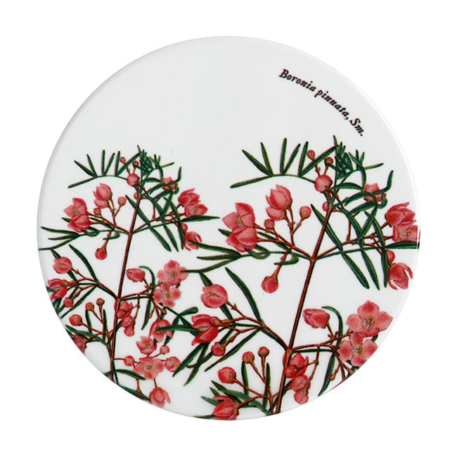 Maxwell & Williams Royal Botanic Gardens Ceramic Coaster