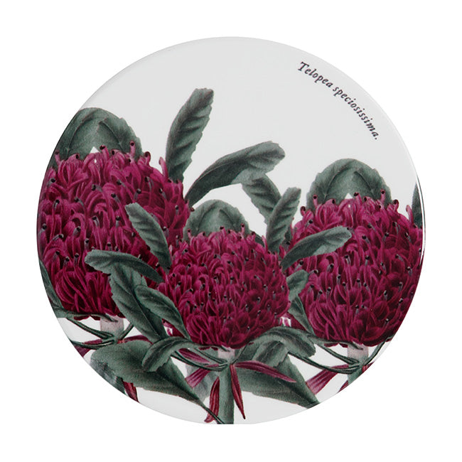Maxwell & Williams Royal Botanic Gardens Ceramic Coaster