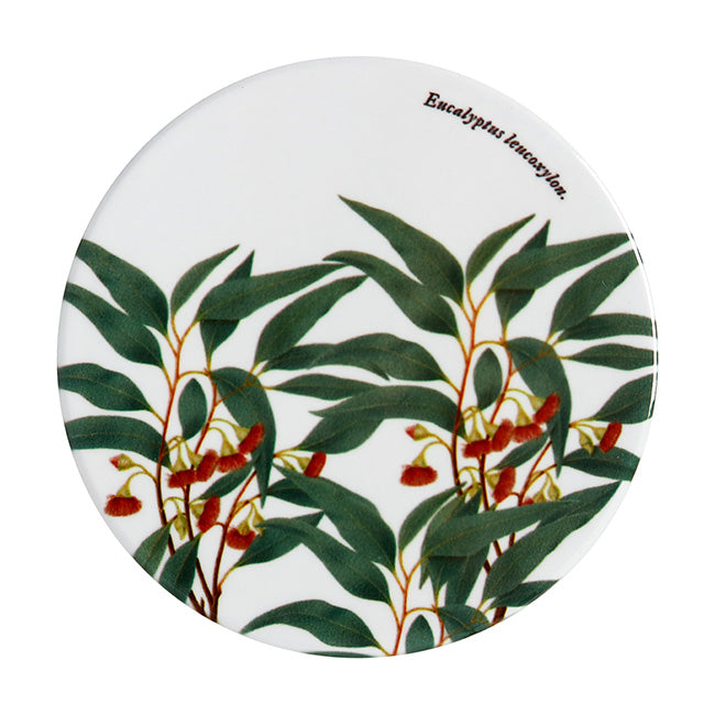 Maxwell & Williams Royal Botanic Gardens Ceramic Coaster