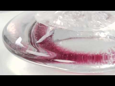 Tescoma Uno Vino Decanter Cleaner