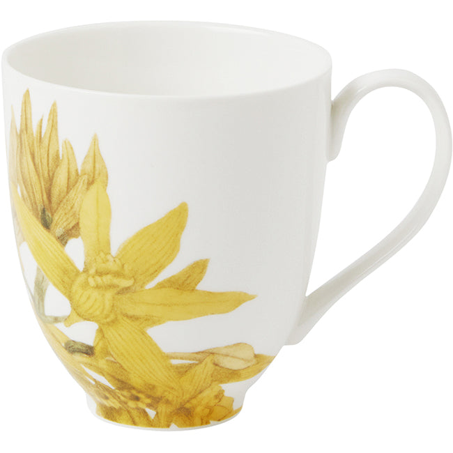 Maxwell & Williams Royal Botanic Gardens Australian Orchids Mug