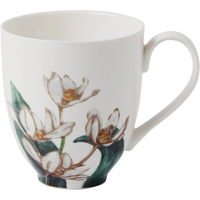 Maxwell & Williams Royal Botanic Gardens Australian Orchids Mug