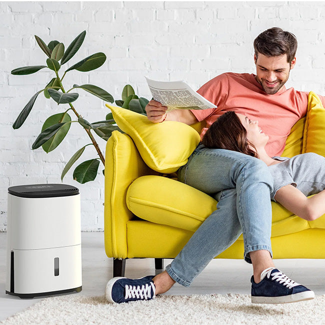 Meaco Dry Arete One Dehumidifier & Air Purifier, 12L