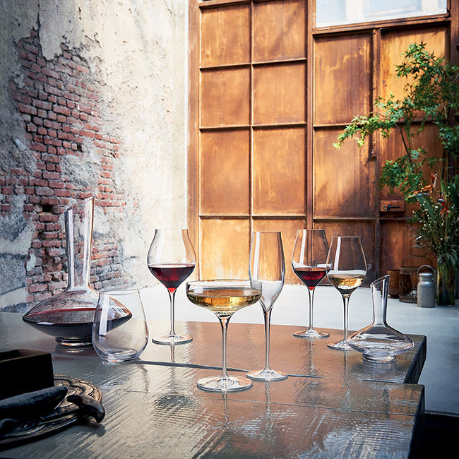 Luigi Bormioli Vinea Stemless Wine Glasses, Set of 2