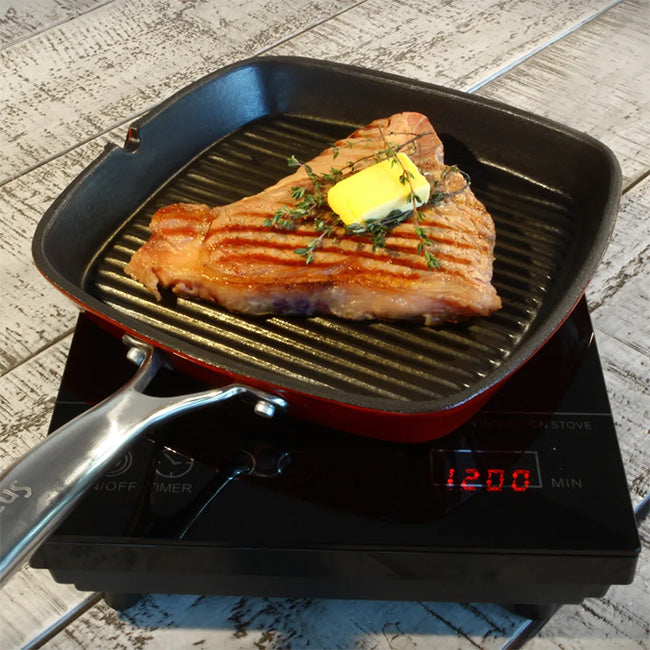 Snappy Chef Traveller Single Induction Stove